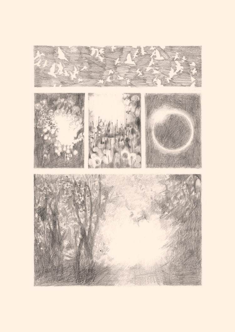 Pencil drawing on primed paper with the title 'Licht'. 