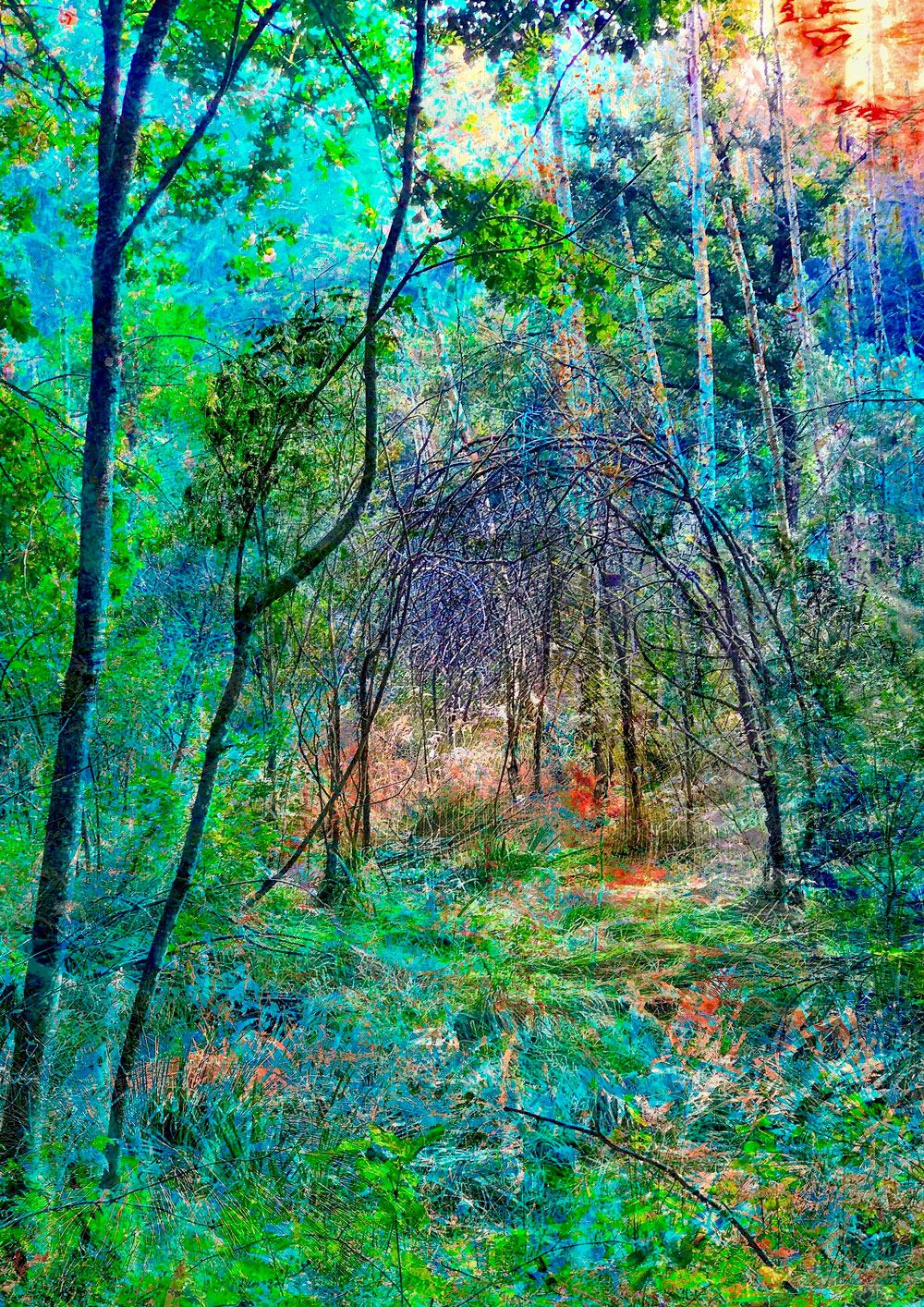 Digital artwork with the title 'Portal' - a creative photographic collage, combined with acryl paint