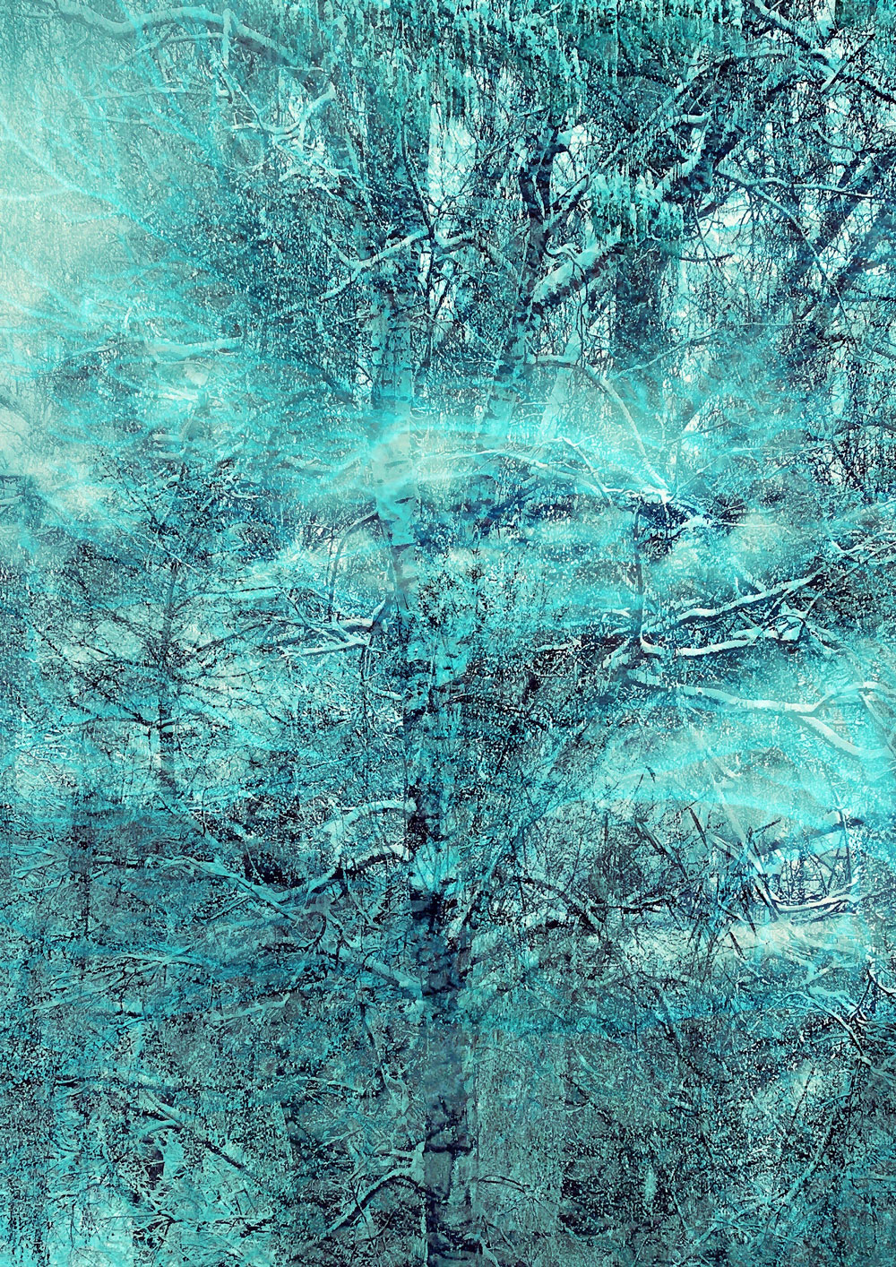 Digital artwork with the title 'My Trees'. A creative photographic collage, combined with acryl paint