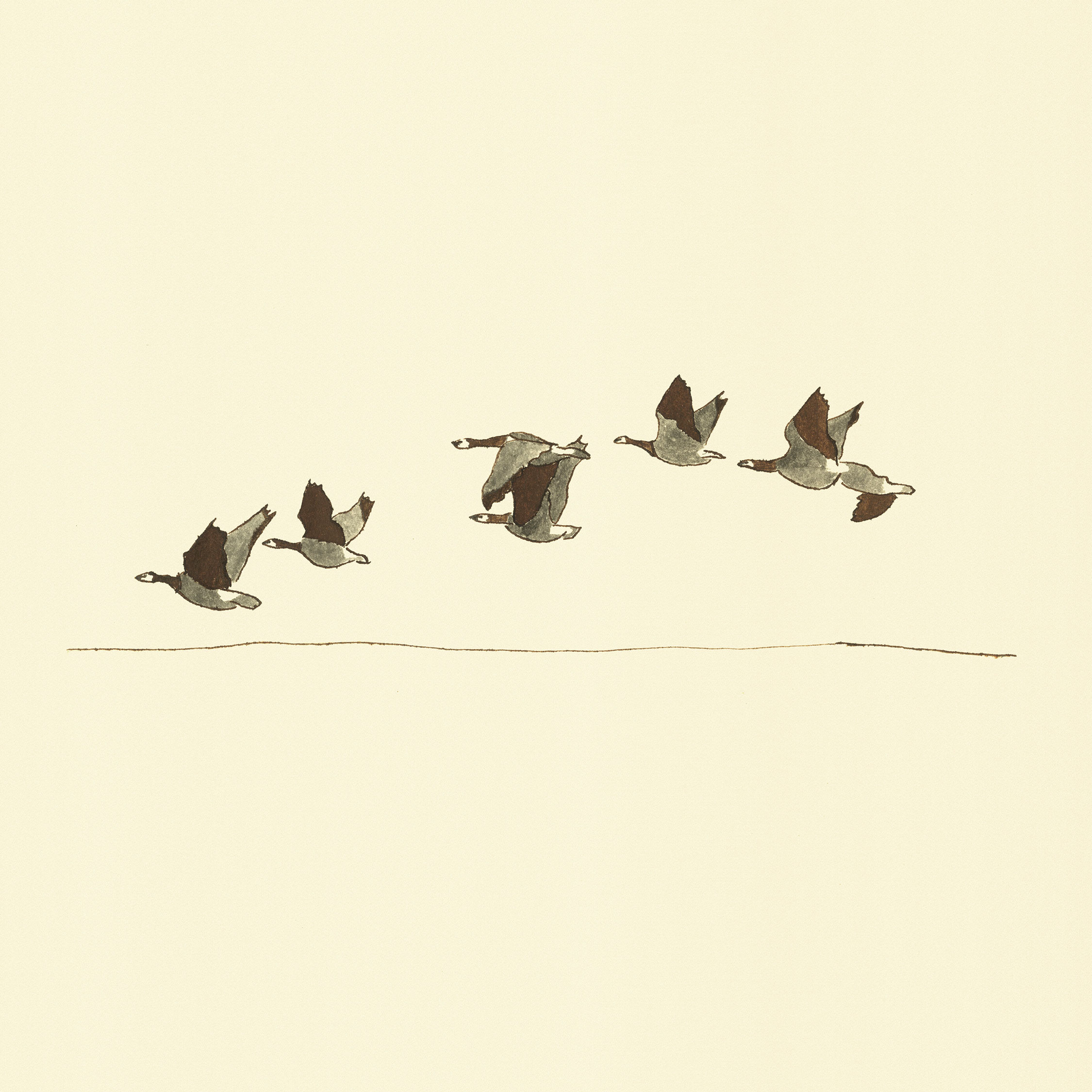 Illustration with watercolour and ink with the title 'Wild Geese'