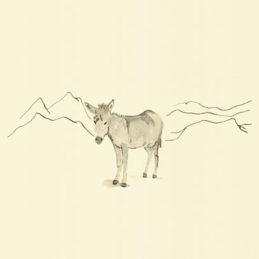 Eine Illustration mit Aquarell und Tusche mit dem Titel 'Esel'.