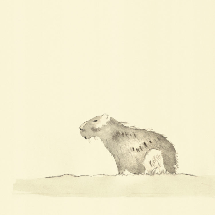 Eine Illustration mit dem Titel 'Wasserschwein', gemalt mit Aquarell und Tusche.