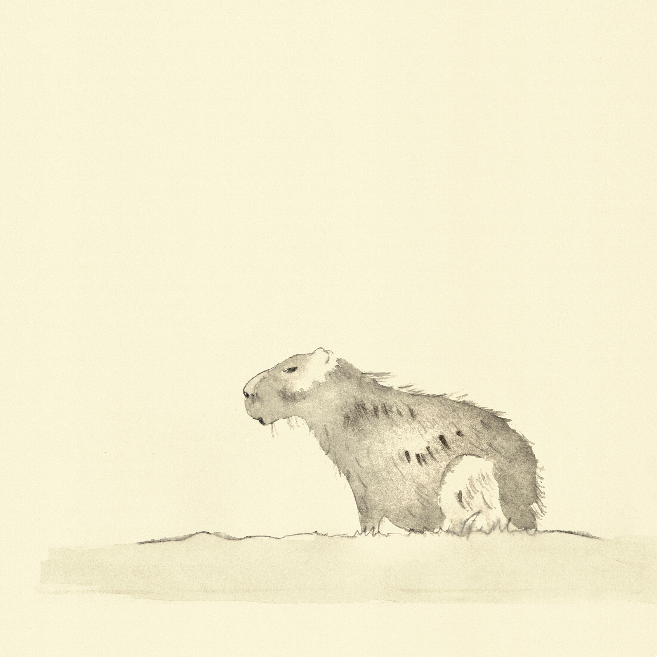 Eine Illustration mit dem Titel 'Wasserschwein', gemalt mit Aquarell und Tusche.