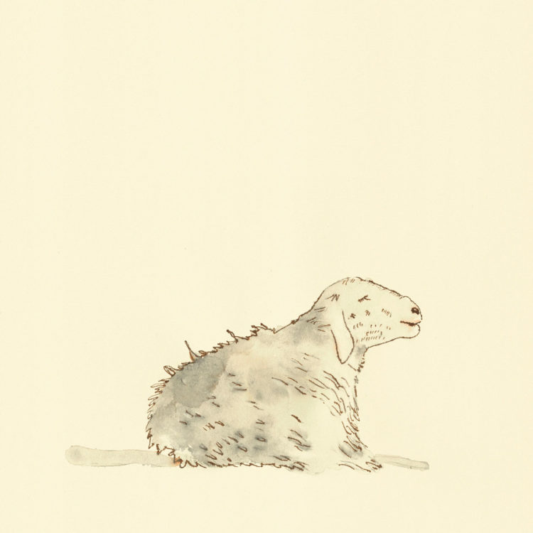 Illustration with watercolor and ink with the title 'Sheep'