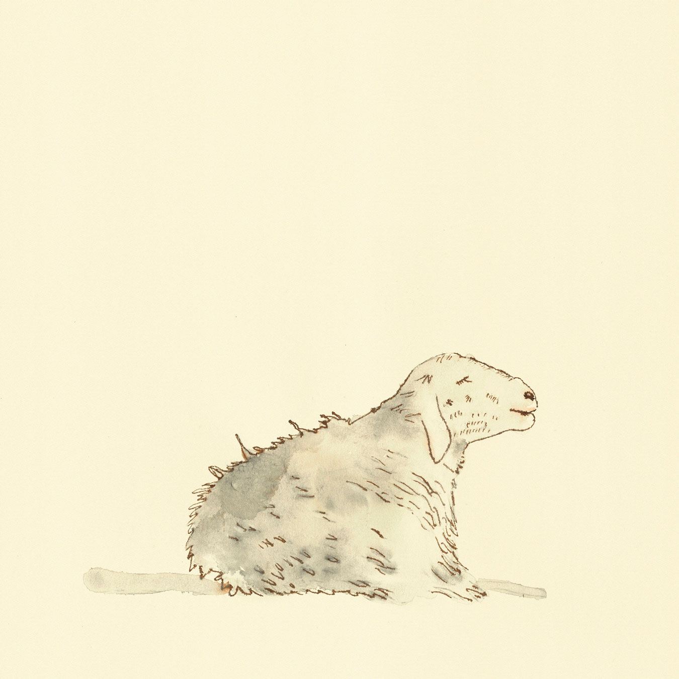 Illustration with watercolor and ink with the title 'Sheep'
