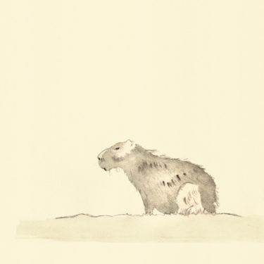 Illustration with the title 'Capybara', painted with watercolour and ink.