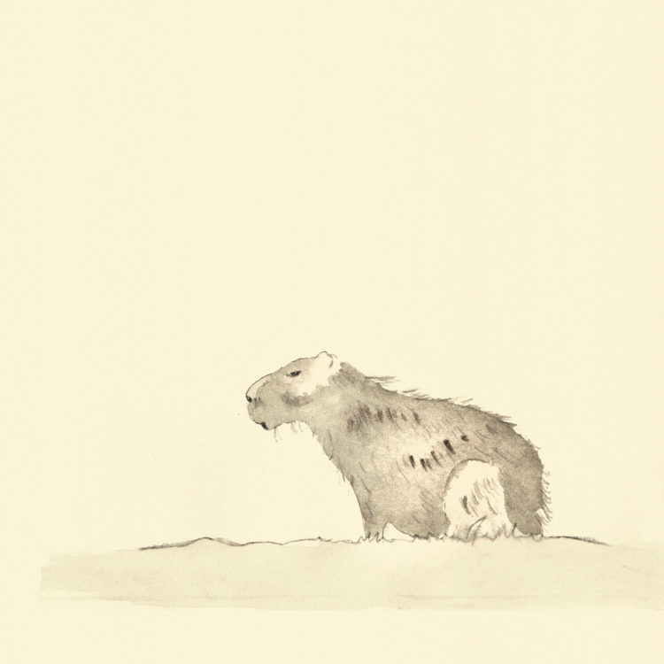 Illustration with the title 'Capybara', painted with watercolour and ink.