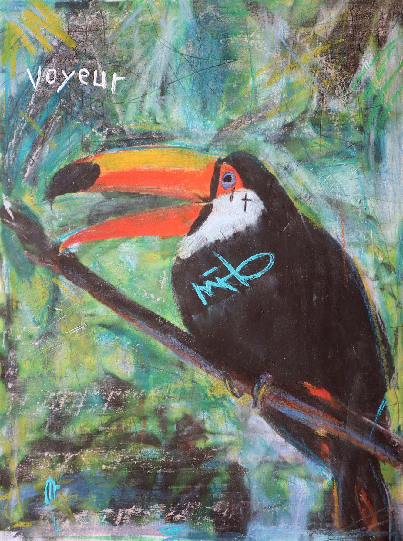 Portrait of a Toucan with the title 'Free as a bird'. The artist Kevin Reismann painted this artwork on photokarton, using chalk.